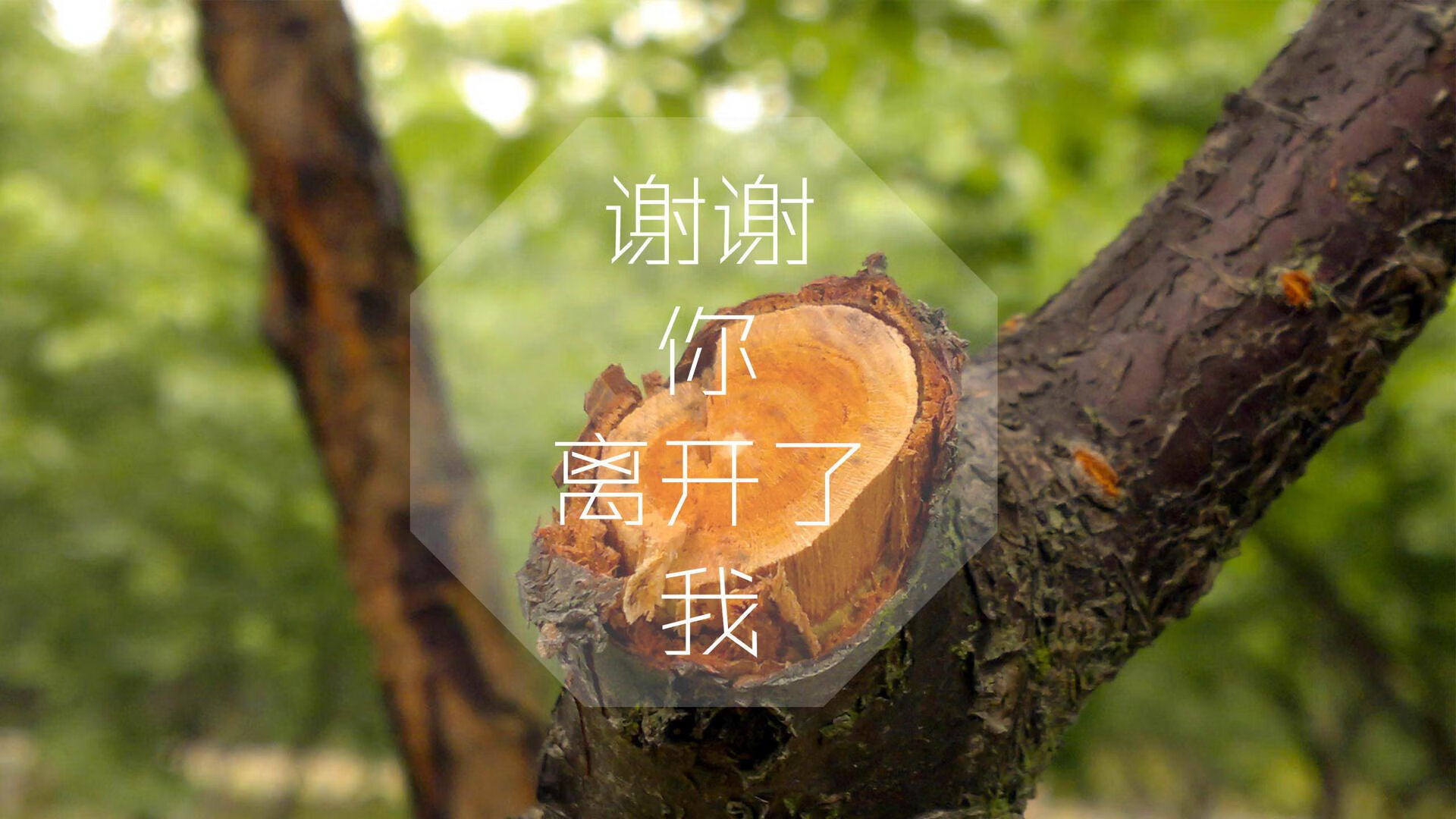 法甲赛季末期,争冠格局逐步明朗,法甲赛制