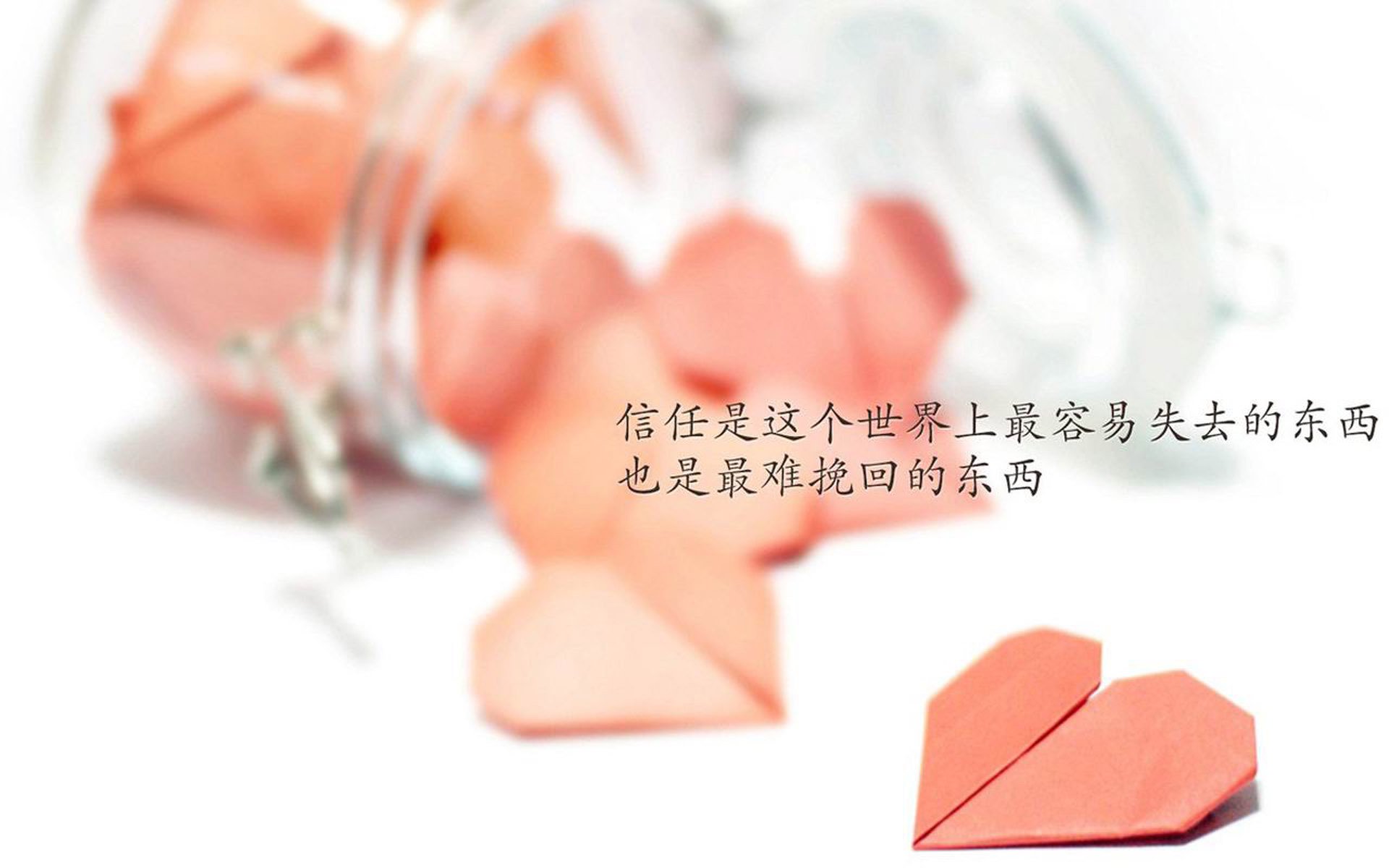 公牛队员拉文取得全明星赛资格,球迷纷纷点赞,拉文31分率公牛取季前赛四连胜