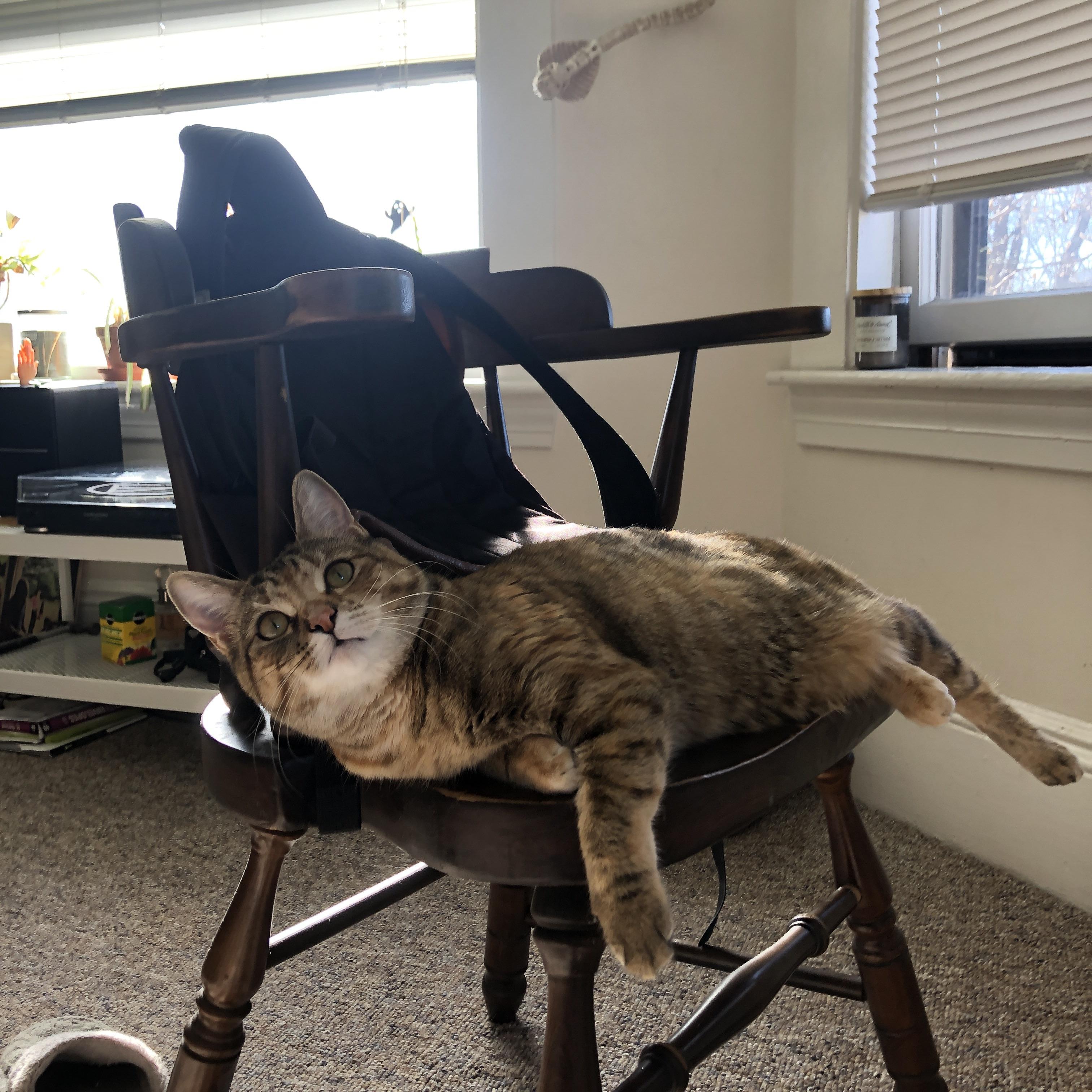 托里·哈斯克展现强大爆发力，哈里斯托克曼发表的