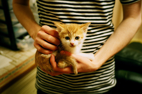 拜仁慕尼黑稳居德甲榜首,争夺多项冠军