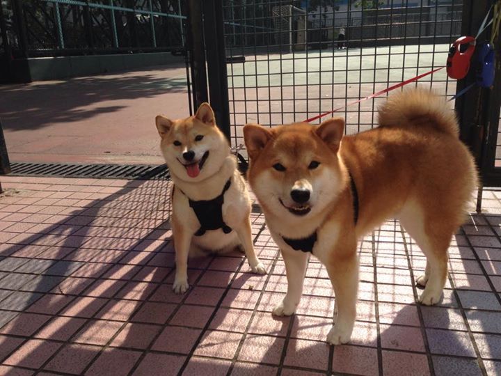 莱谢恩·卡萨斯稳扎稳打掌控比赛节奏,莱卡恩在哪