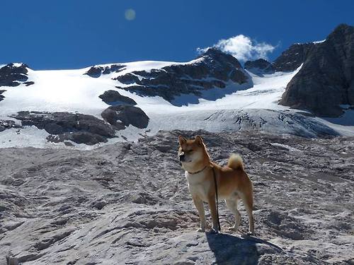 青少年篮球联赛推广防伤保护课程保障参赛安全，青少年篮球活动策划方案
