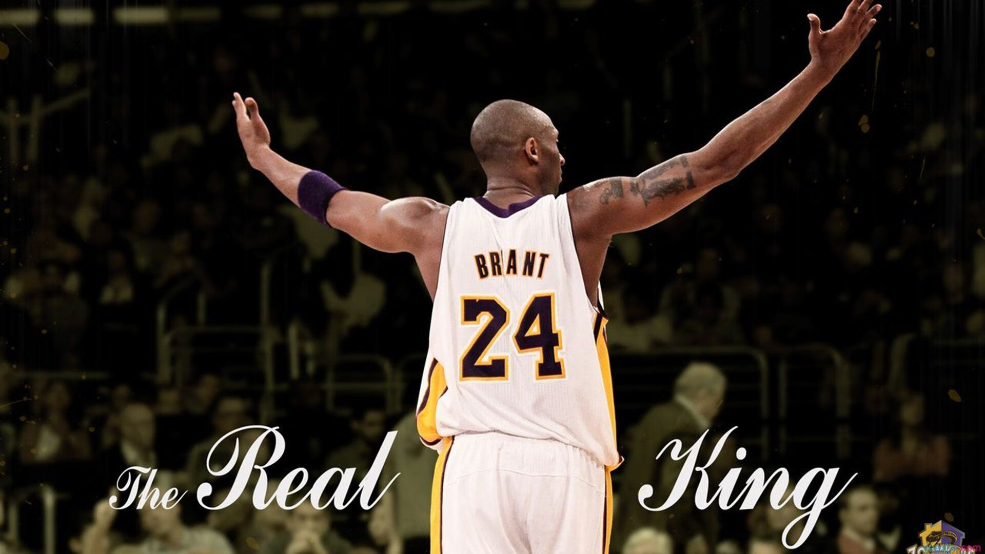 慢节奏控场是否有助于控制失误数量，节奏掌控慢性子是什么生肖